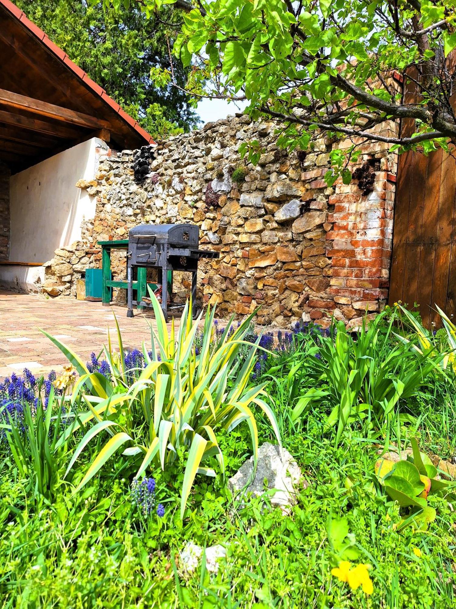 Penzión Villa Agnes Smolenice Esterno foto